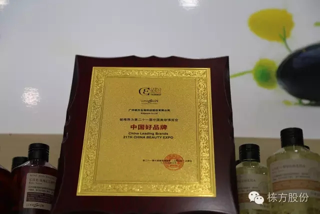 科技引領(lǐng)美麗▏棟方股份榮獲“中國好品牌獎”！